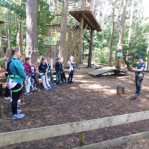 Go Ape 2025