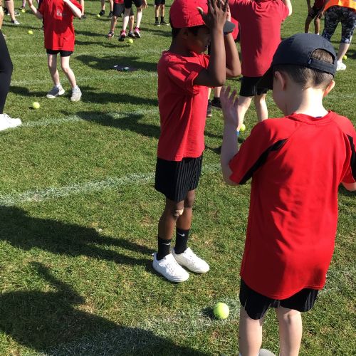 Year 1 and 2 Cricket Festival