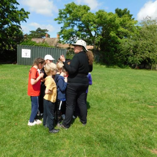 Forest School Year 3 and 4