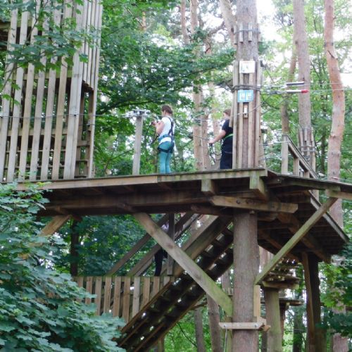 Go Ape 2026