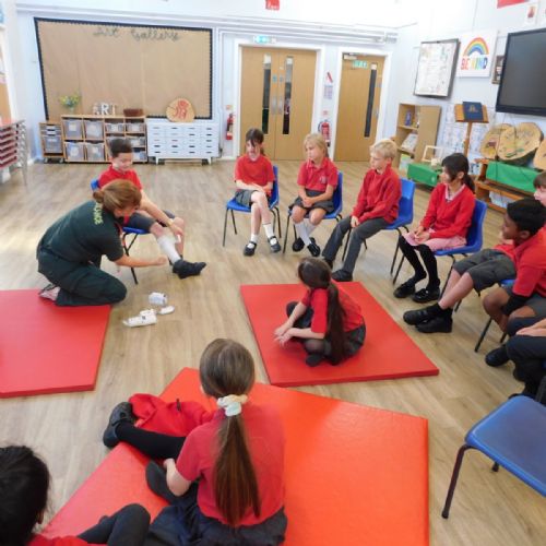 Paramedic Workshops
